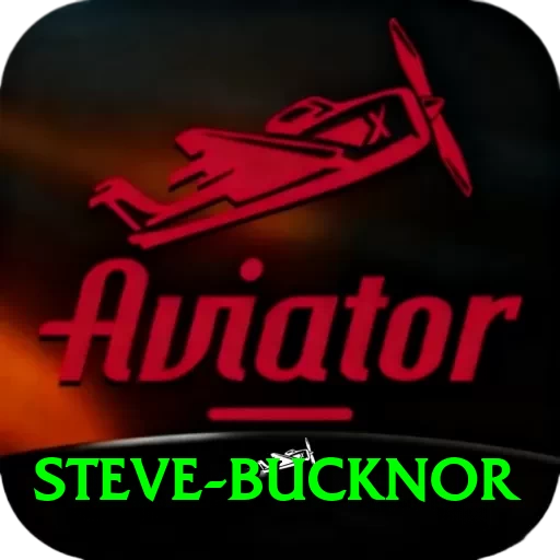 steve bucknor Pro Edition v2.0.5 - 2