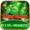 steve waugh Plus v2.2.2