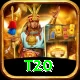 t20 VIP Pro v1.5.2