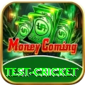 test cricket Gold Edition v4.6.3