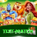 test match Deluxe Pro v1.7.3