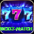 to day cricket match Turbo v2.7.9