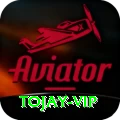 tojay Money VIP v4.4.0