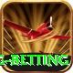 turkey super lig betting Premium v1.1.2