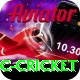 uc cricket Games (Casino & Earning) Gold v3.1.0