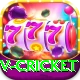 v cricket Ultimate Pro v5.5.3