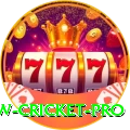 willow cricket Legend APK v2.6.2
