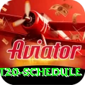 world t20 schedule App